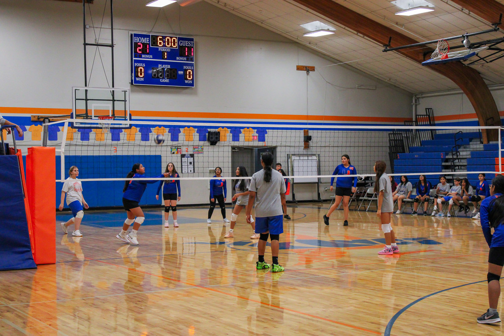 Volleyball players playing a game of volleyball against each other