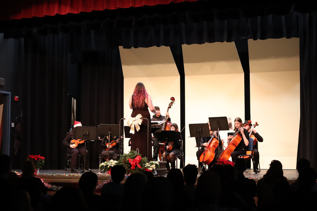 photo of orchestra students playing their instruments 