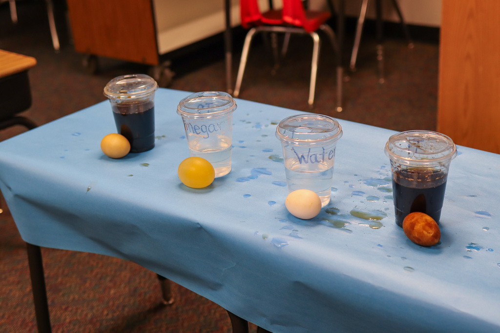 Results of all four eggs