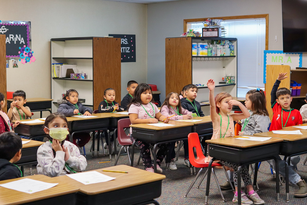 students raising their hands asking questions