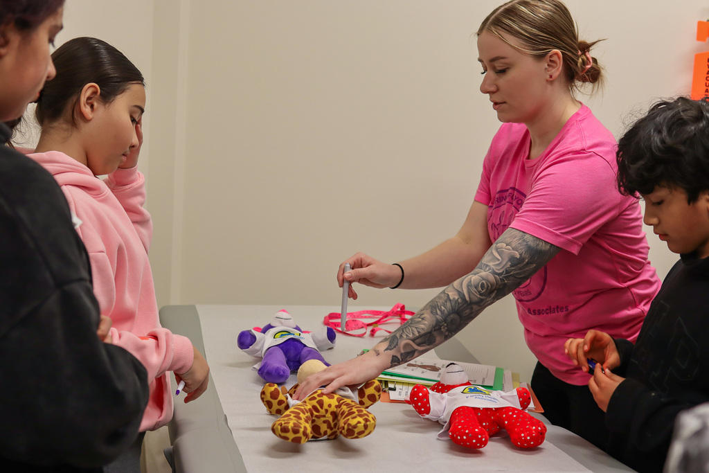 students measuring the heights of their teddy bear buddy 