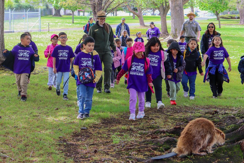 students and park rangers approaching a taxidermy beaver 