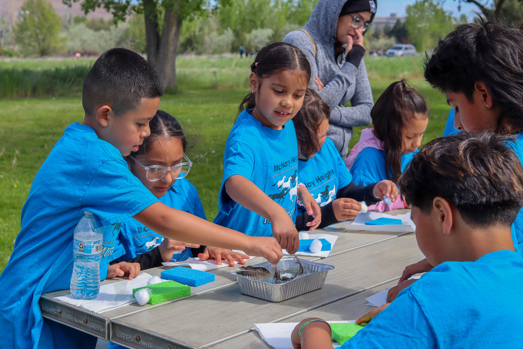 students participating in a fun science activity 
