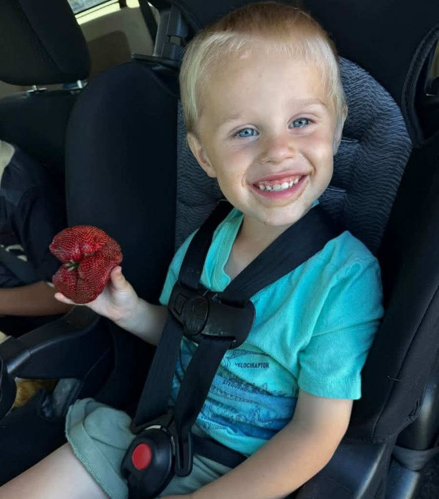 Child holding giant strawberry