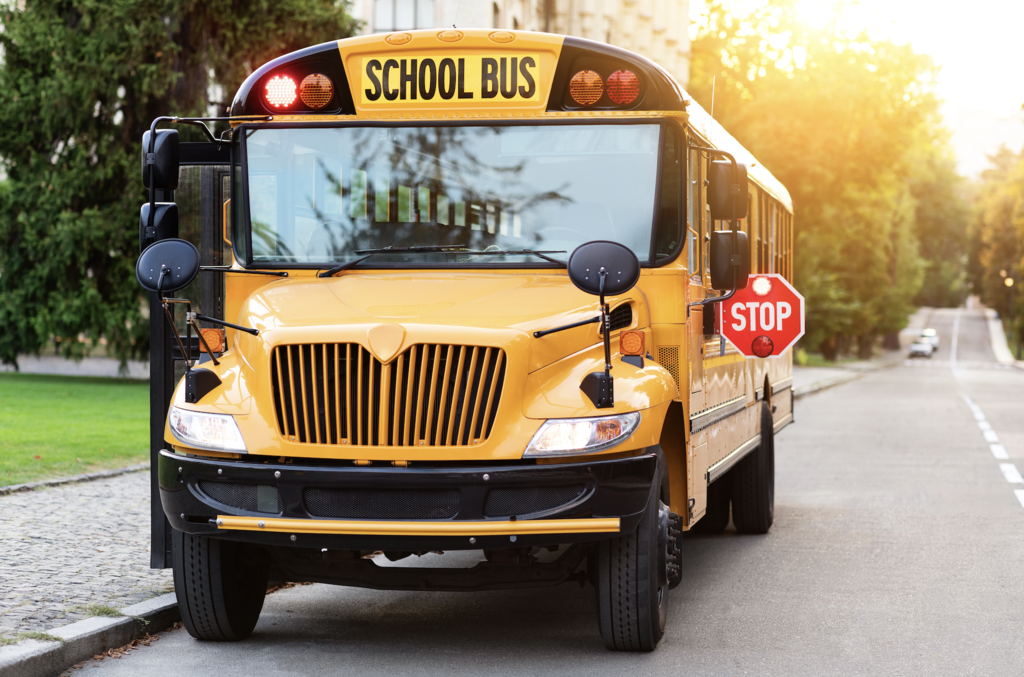 Image of Bus