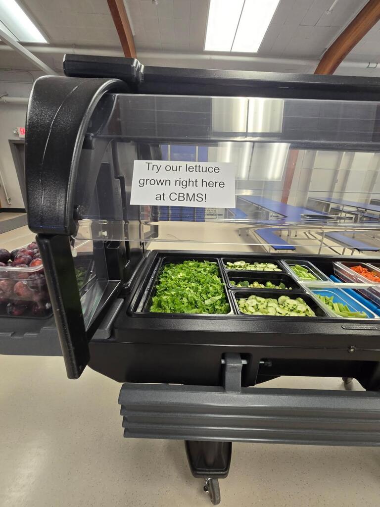 Photo of lettuce chopped up and available in the salad bar for students to try