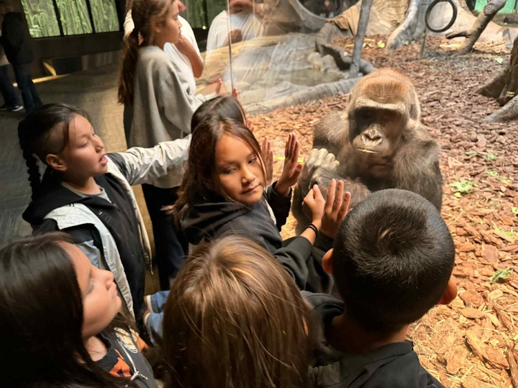 students looking at primates in Omaha zoo