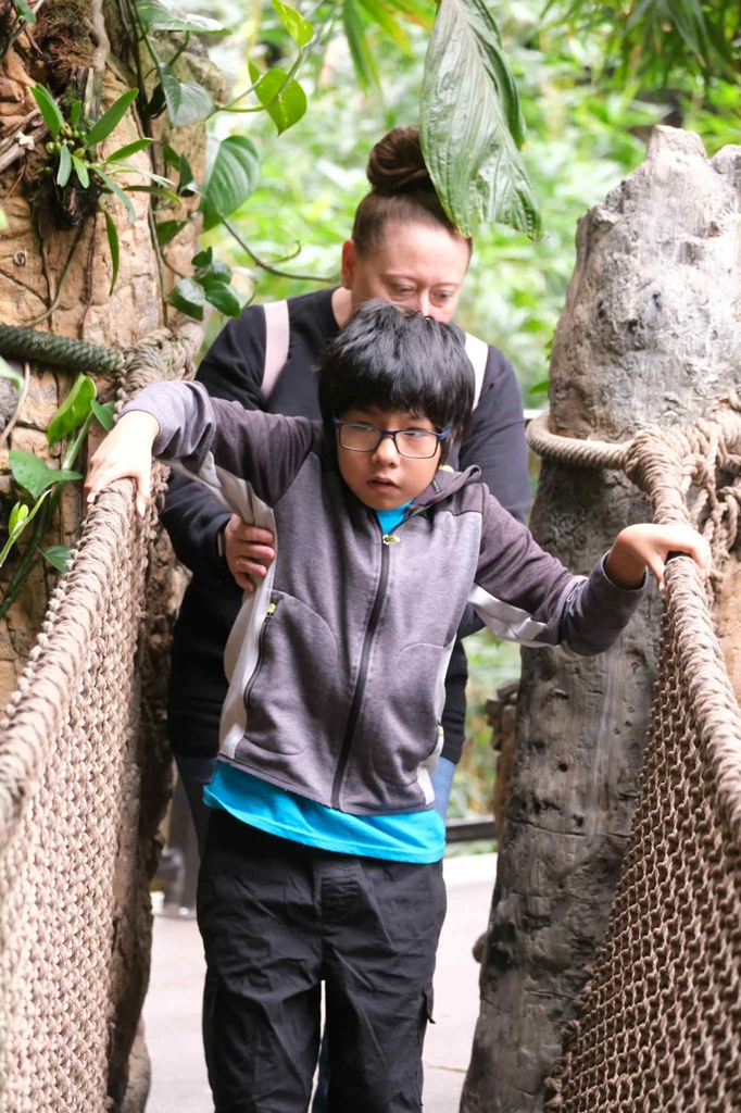 students crossing a rope bridge