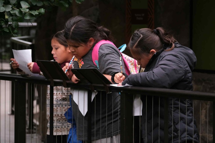students studying an exhibits signs