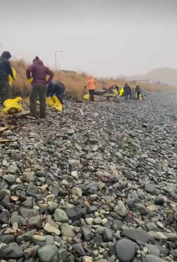 UCSD staff clean-up post T-Day