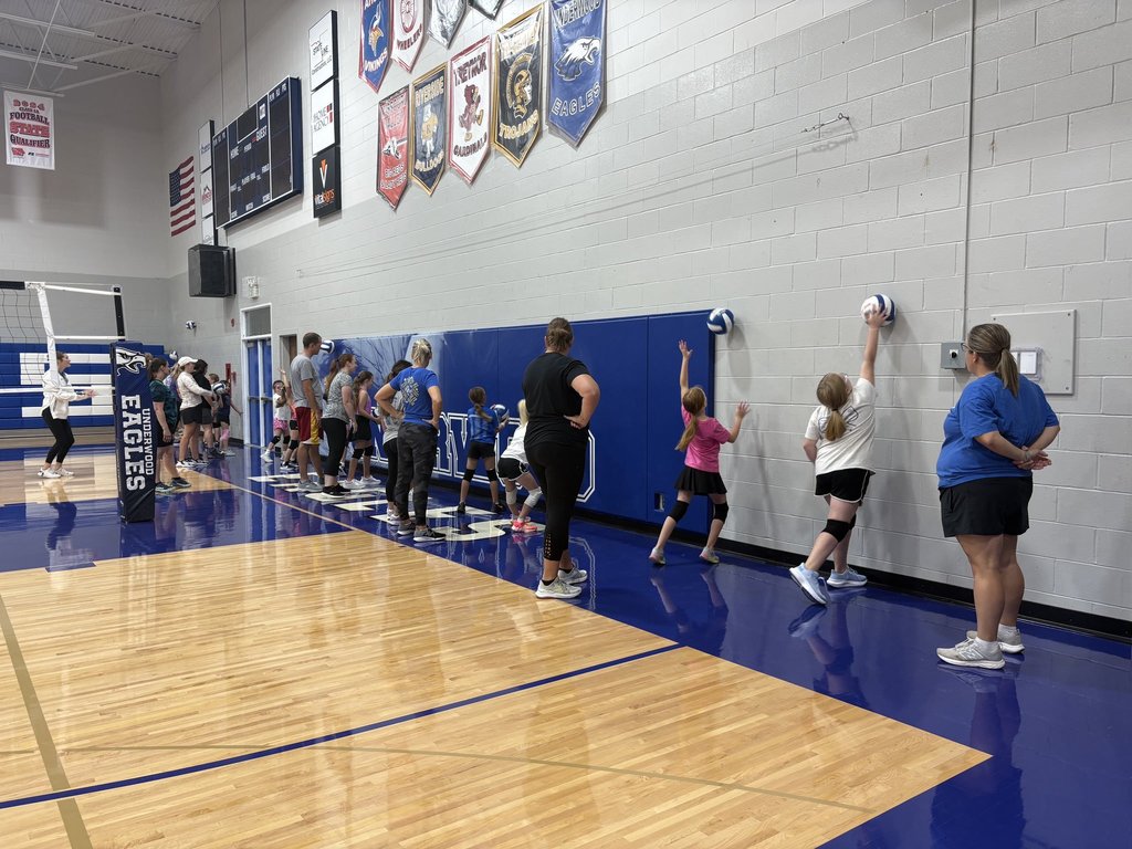 Youth Volleyball