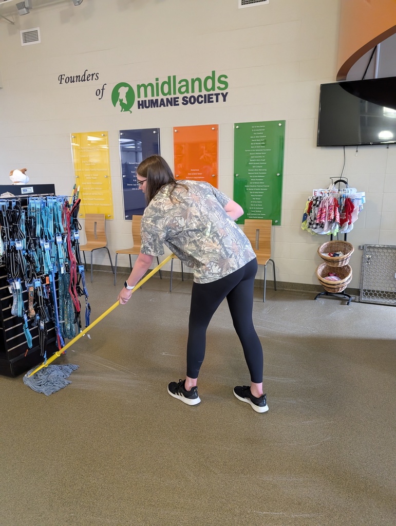 Sophomore Integration