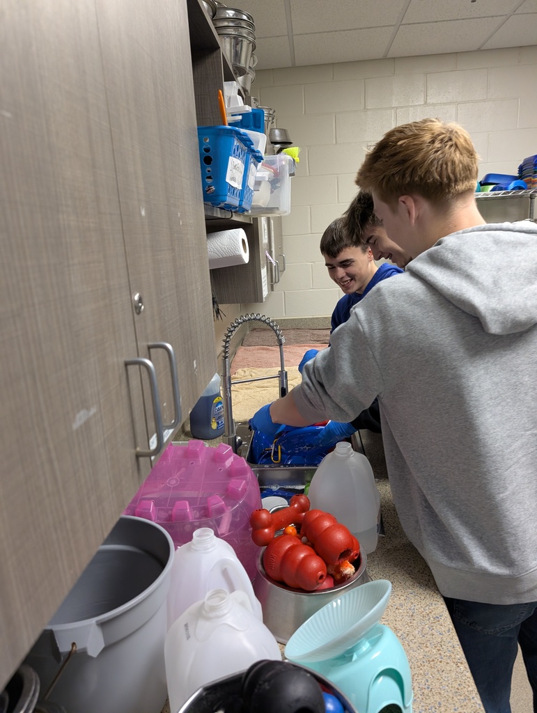 Sophomore Integration