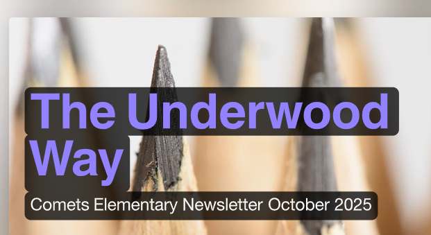 Elm Newsletter