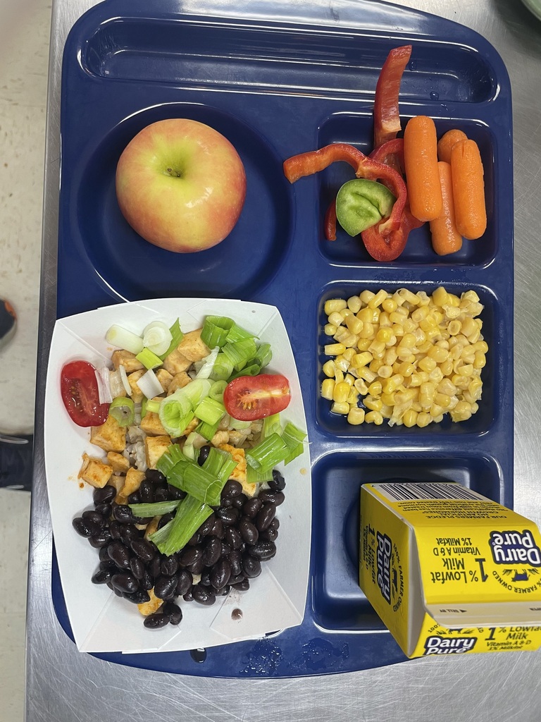 lunch tray