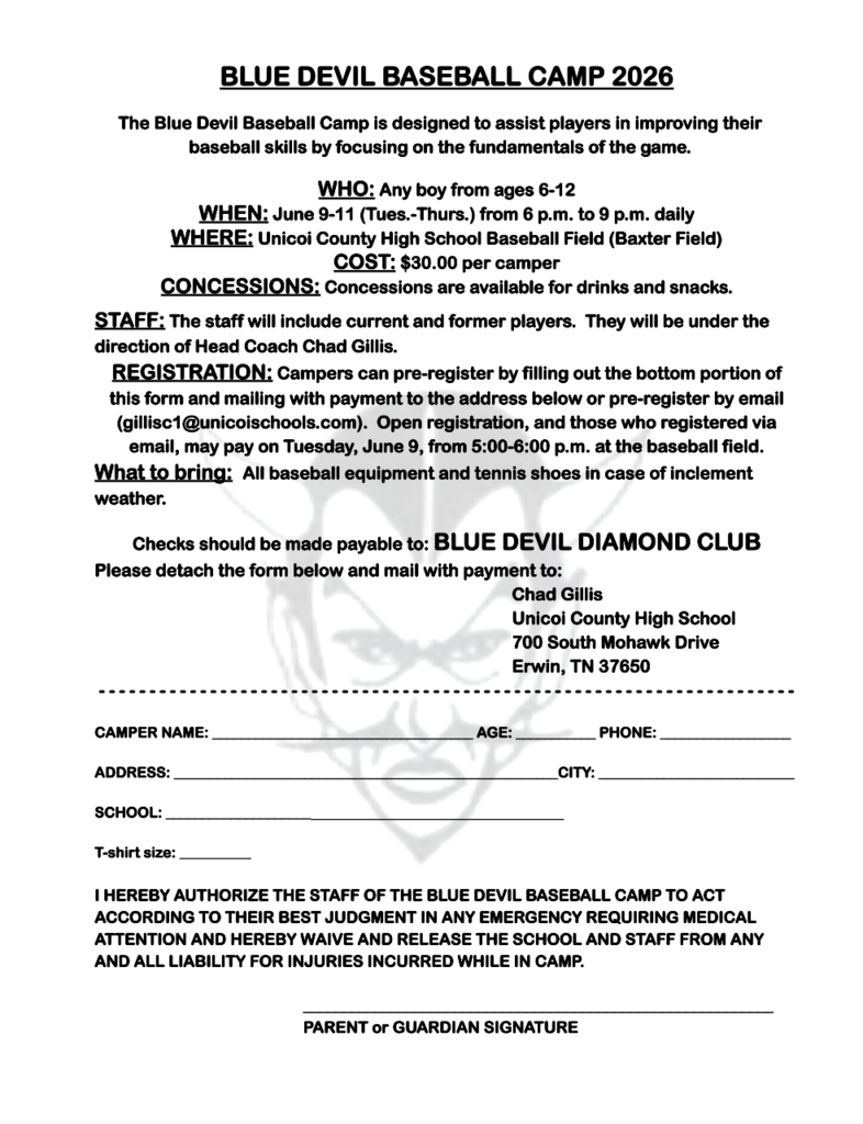 Baseball Camp 