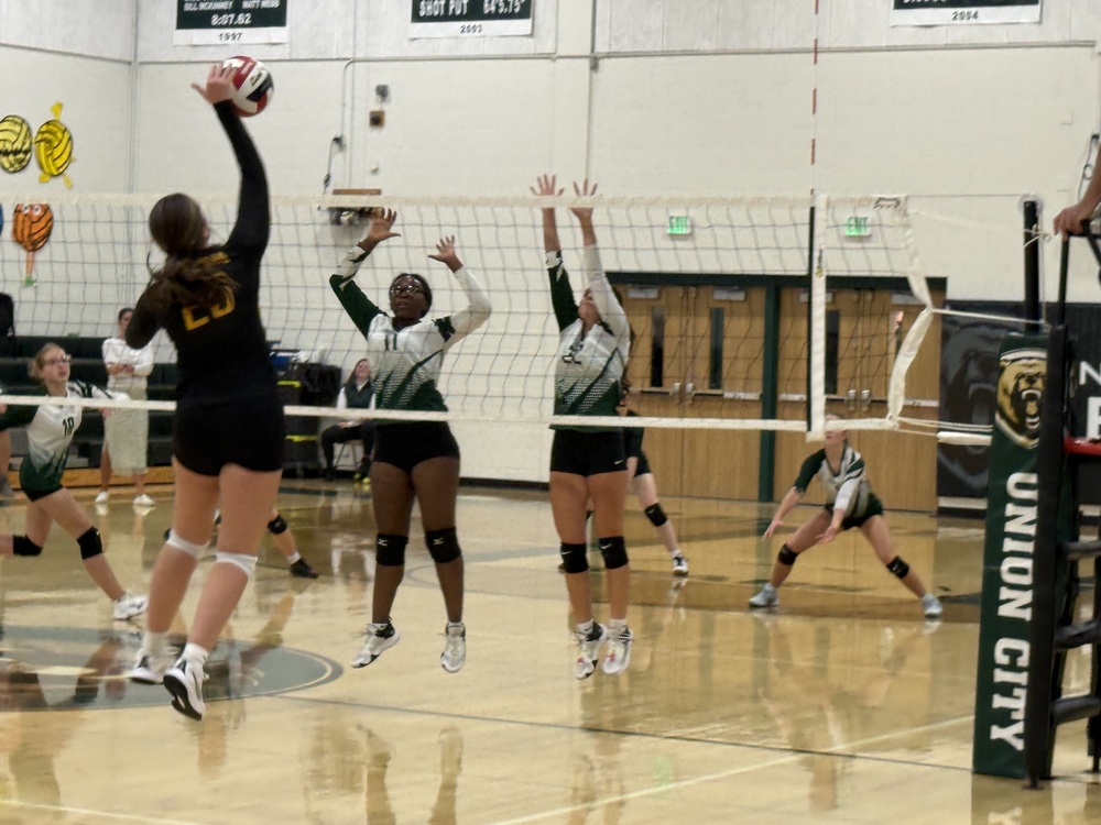 Volleyball