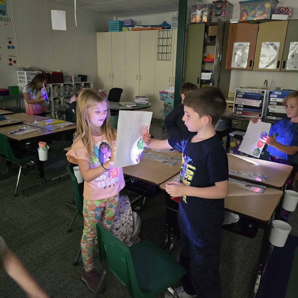 1st grade mystery science 