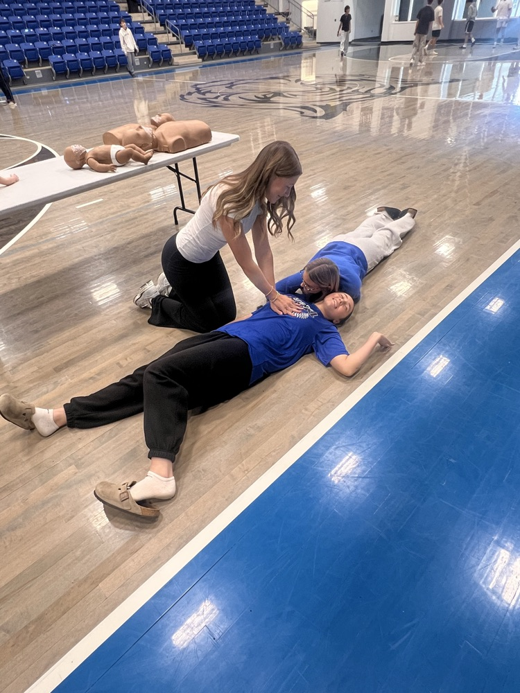 Live action simulation