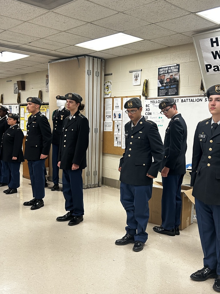 Inspection4