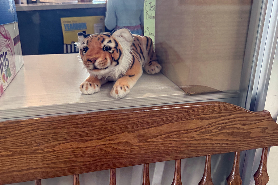 Tiger