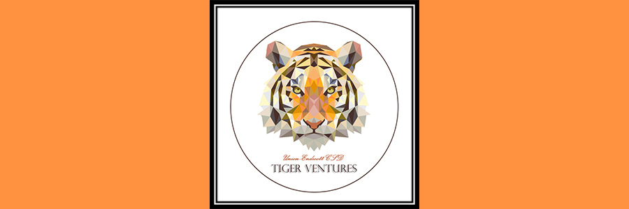 Tiger Ventures