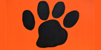 Tiger paw