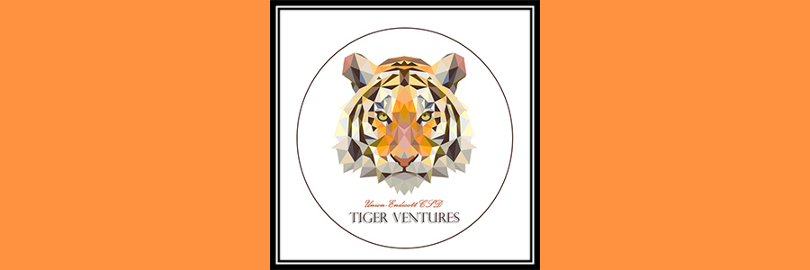 Tiger Ventures
