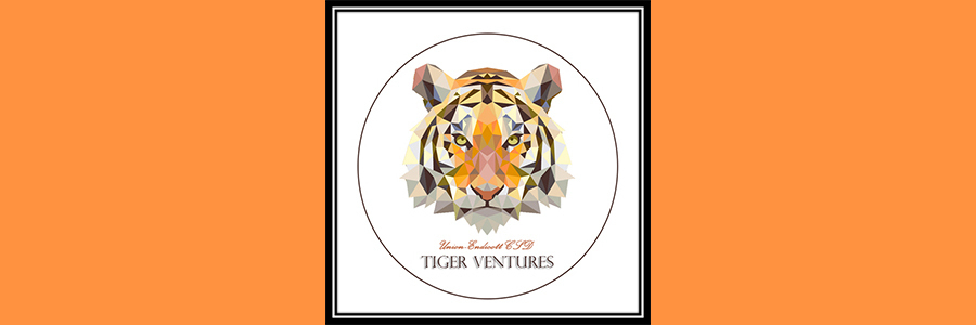 Tiger Ventures