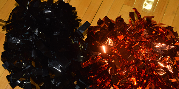cheer pom poms
