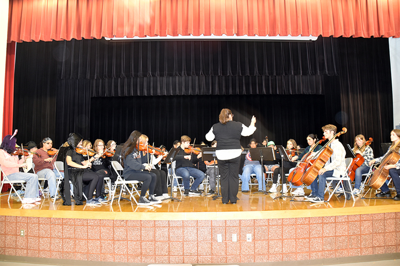 UEHS orchestra