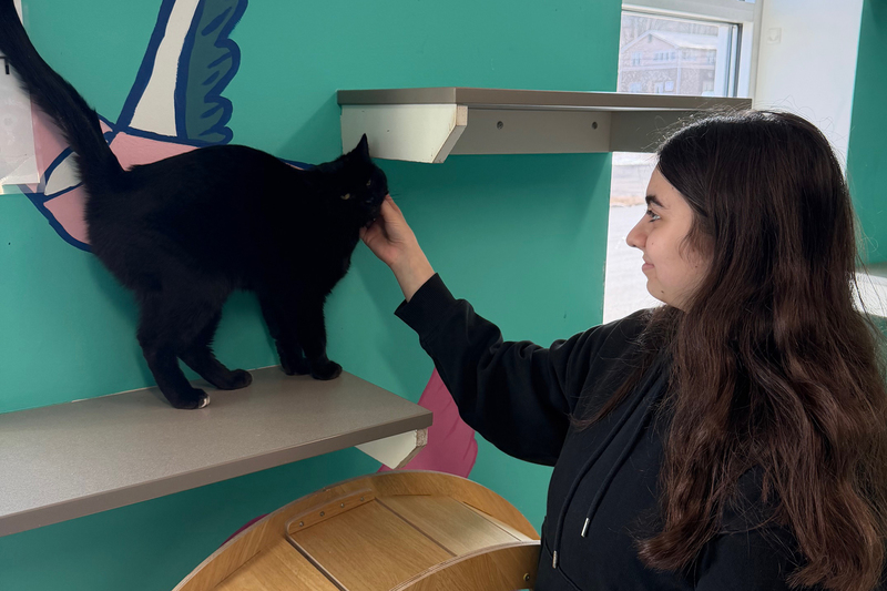 JFS at humane society