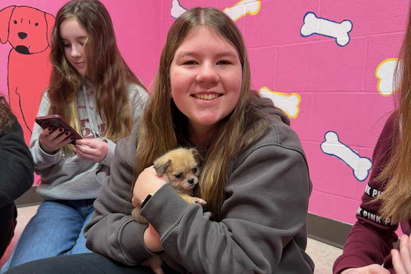 JFS at humane society