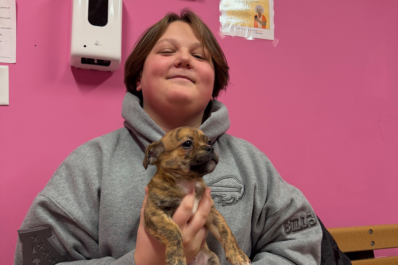 JFS at humane society