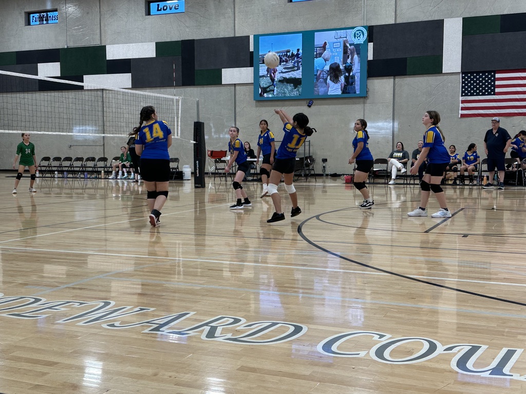 Girls' Volleyball vs. Marquette