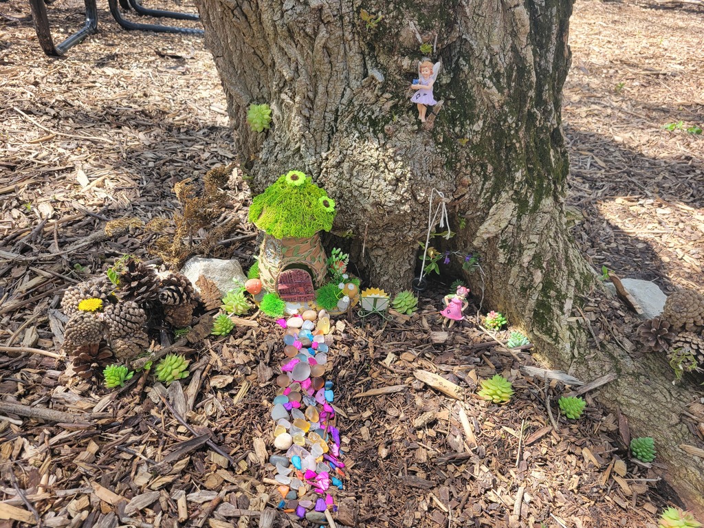 student made fairy garden