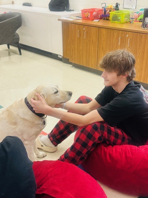 students with therapy dog