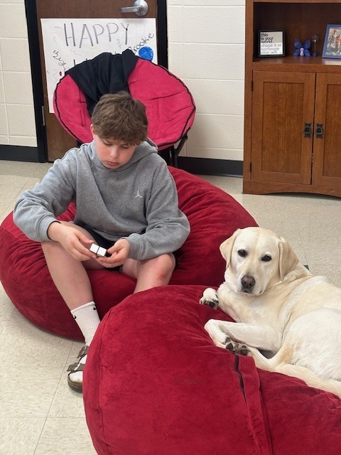 students with therapy dog