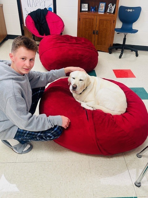 students with therapy dog
