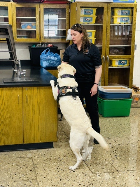 K9 Kala 