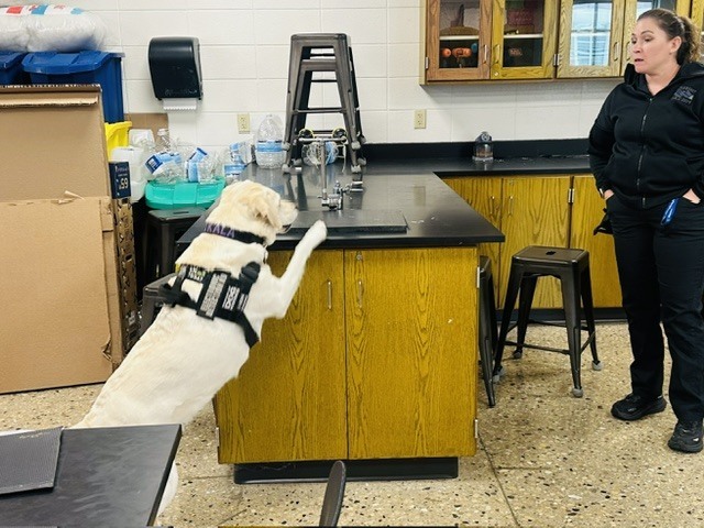 K9 Kala 