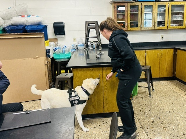 K9 Kala 