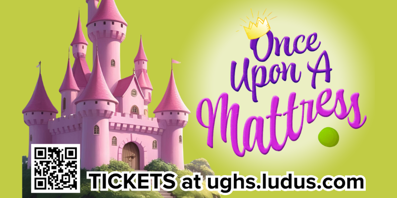 Once Upon A Mattress