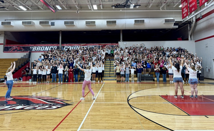 students raising hands