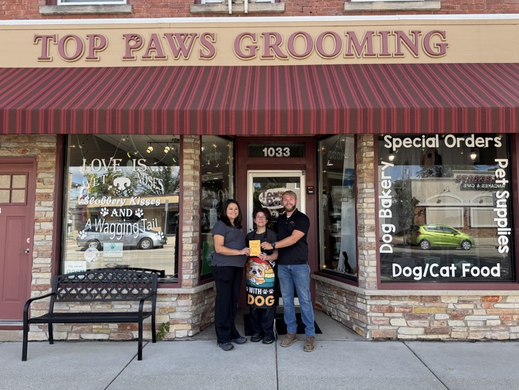 top paws