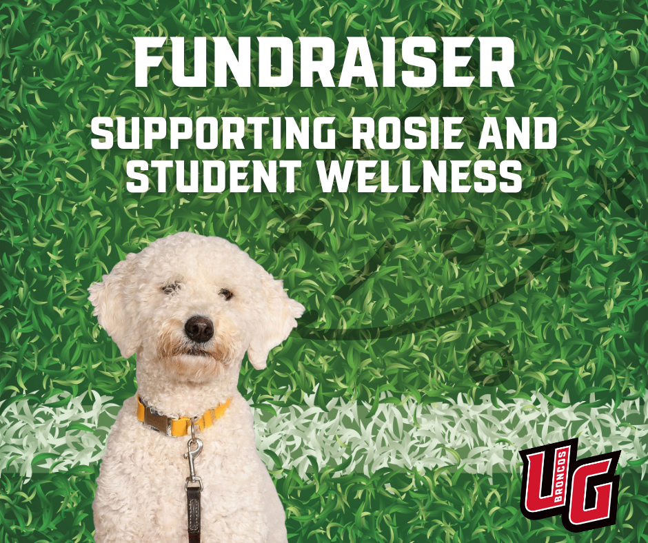 Rosie fundraiser
