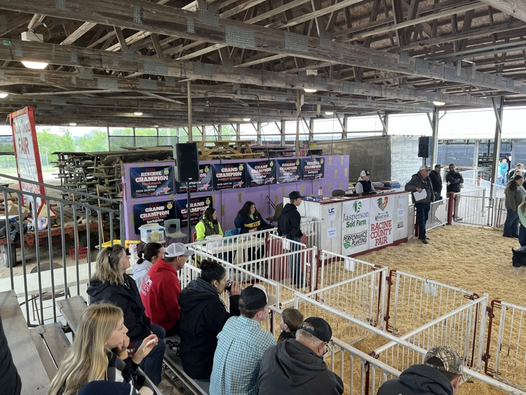 UG FFA