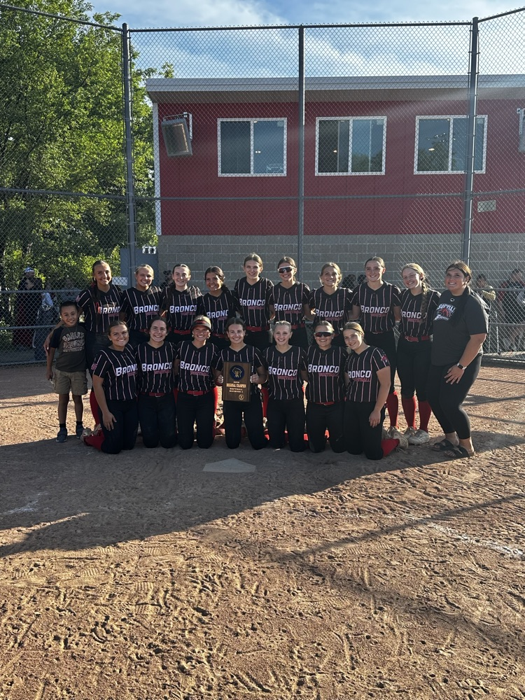 reg champs 