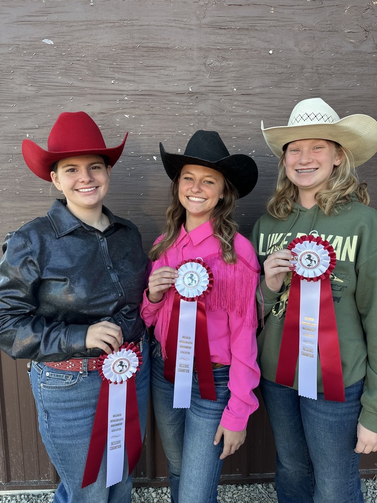 Equestrian pic