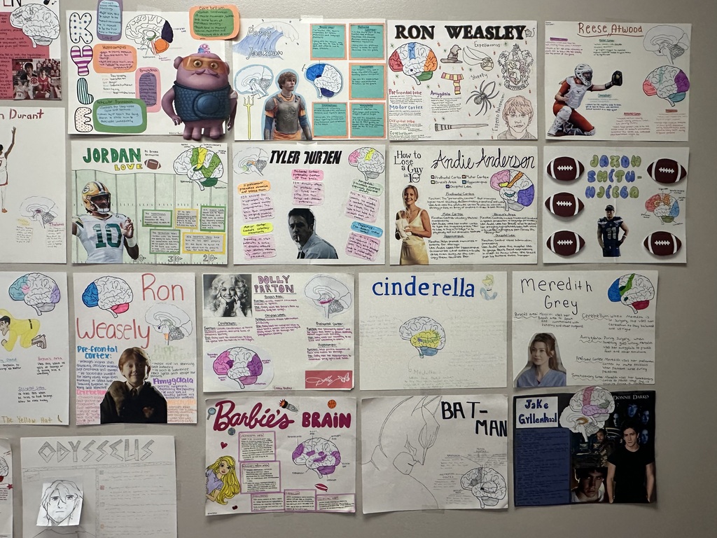 A bulletin board with multiple colorful posters attached, including illustrations, text, and photographs. Names such as Ron, Cinderella, and Jordan are visible.